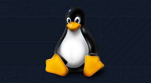 Linux Mastery: From Zero to Hero