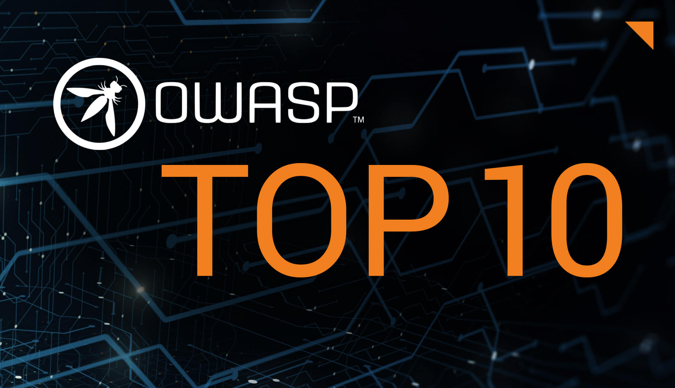 OWASP Top 10